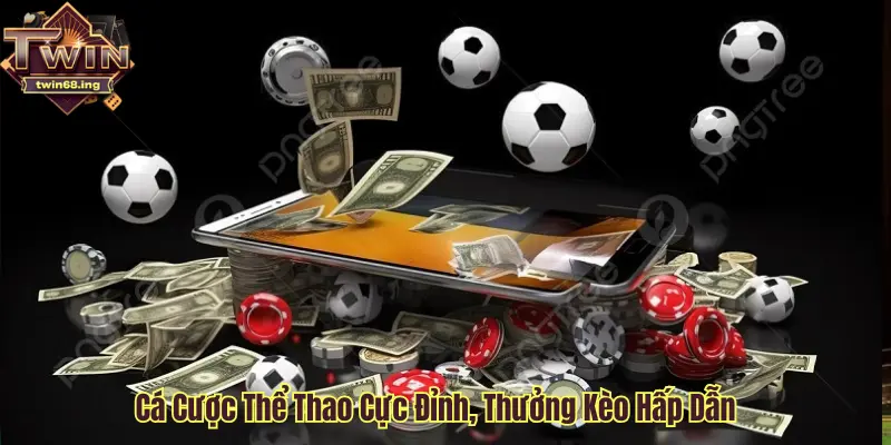 Cá cược thể thao đẳng cấp