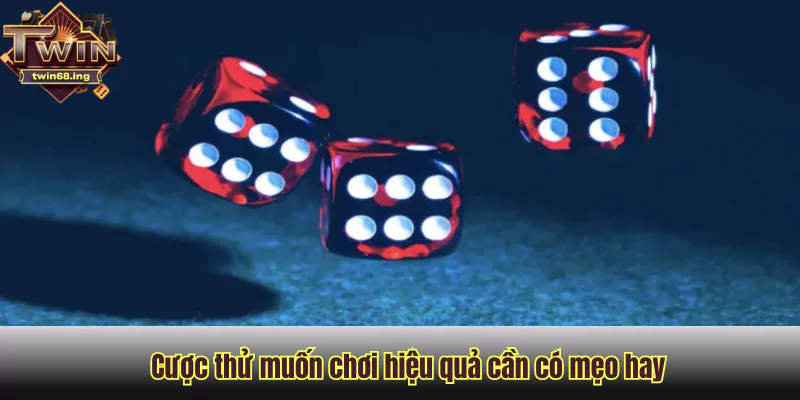 Cược thử muốn chơi hiệu quả cần có mẹo hay Cược thử muốn chơi hiệu quả cần có mẹo hay