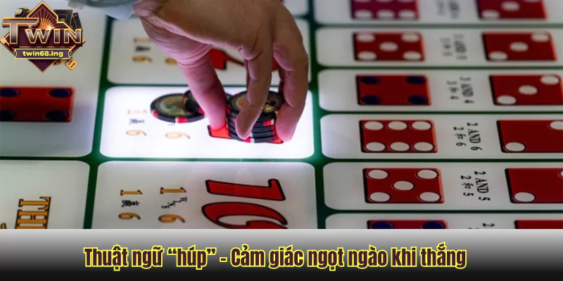 Thuật ngữ “húp” trong tài xỉu Twin68